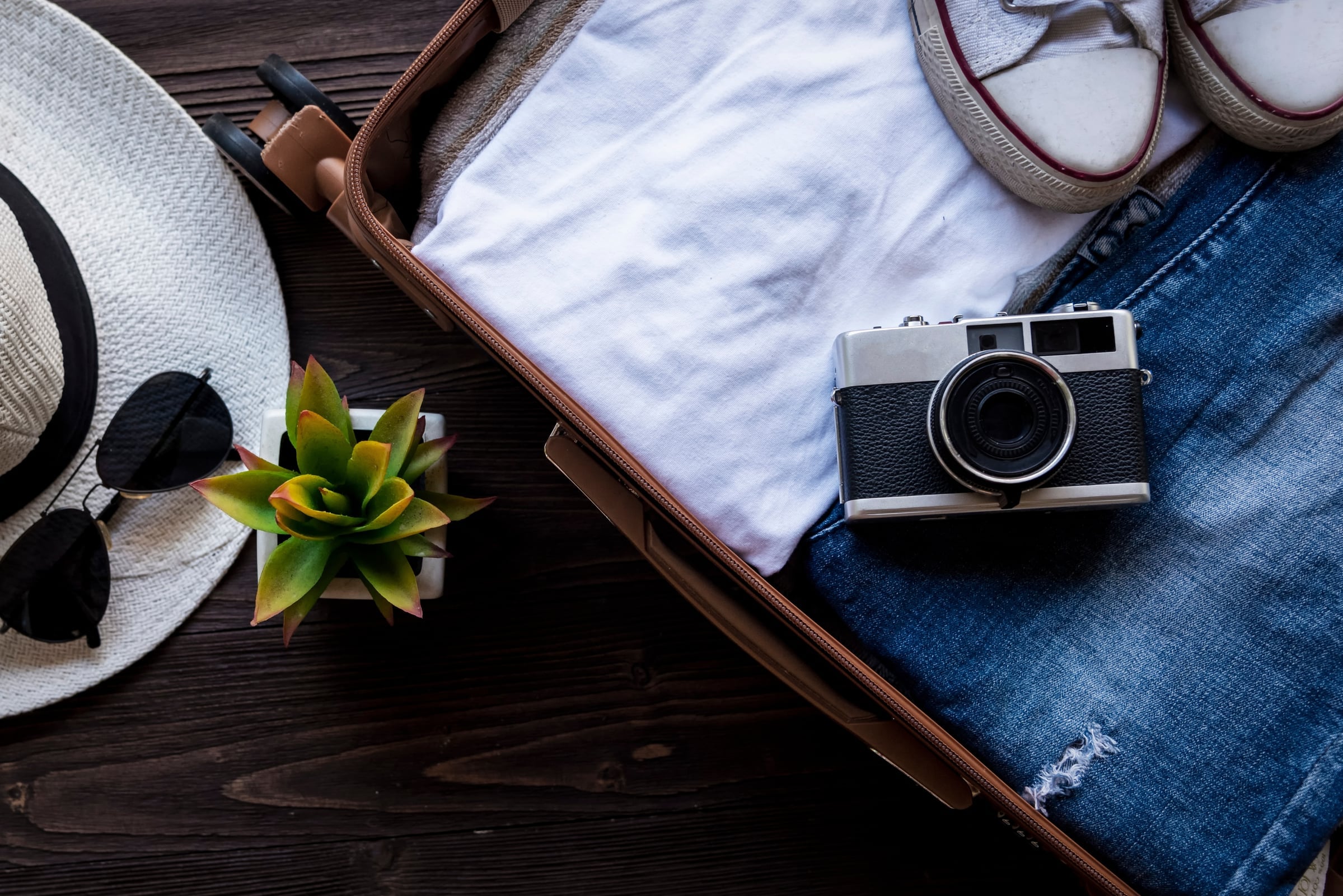 Top 5 Tools Every Independent Travel Agent Needs in 2025